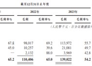 五一视界IPO：2024上半年净亏损率195.9%、毛利率持续下滑 融资不断却持续“失血”账上仅余2.72亿元