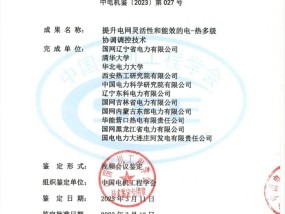 2024新澳今晚资料，糜费精选答案落实_MSG281.414