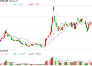 万安科技拟1.33亿元溢价收购关联企业 标的公司年内亏损约2676万元