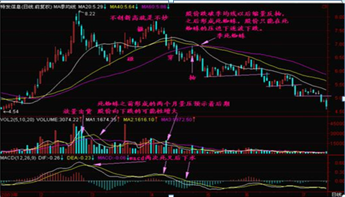 终于有人发声了：下一轮牛市什么时候会到来，现在是满仓干还是见好就收？作为投资者怎么看